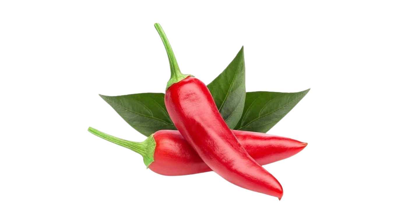 Contact Us sakkies chilli sauce (1)